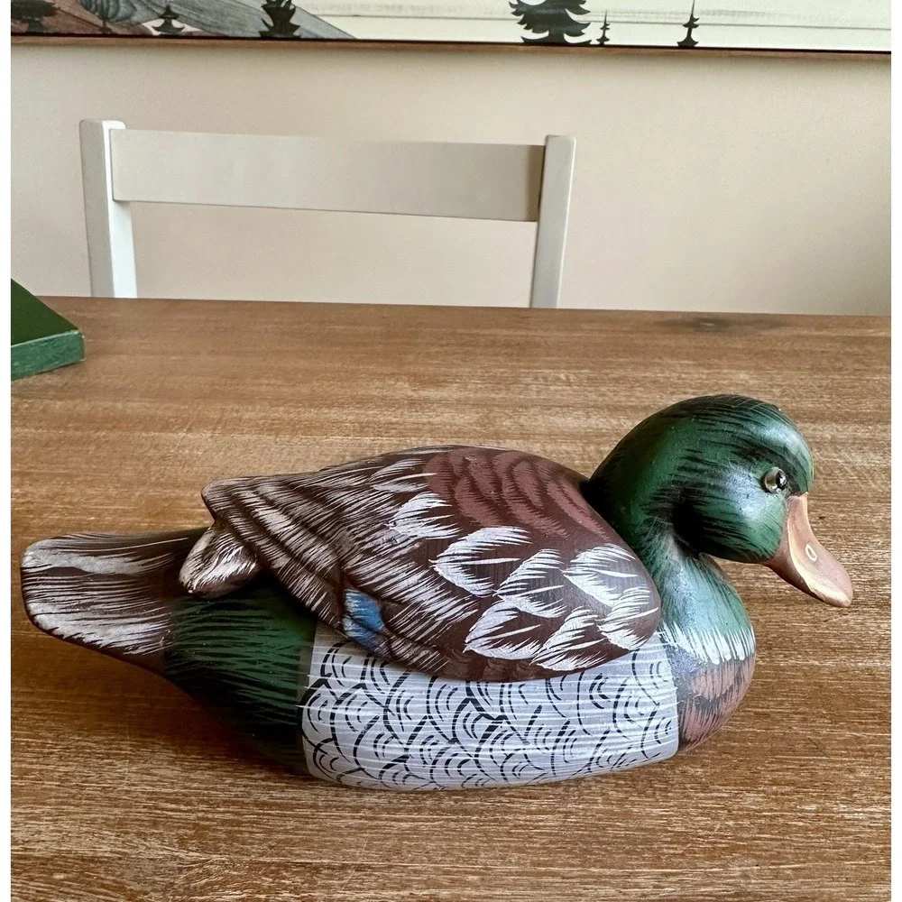 N/A beautiful mallard